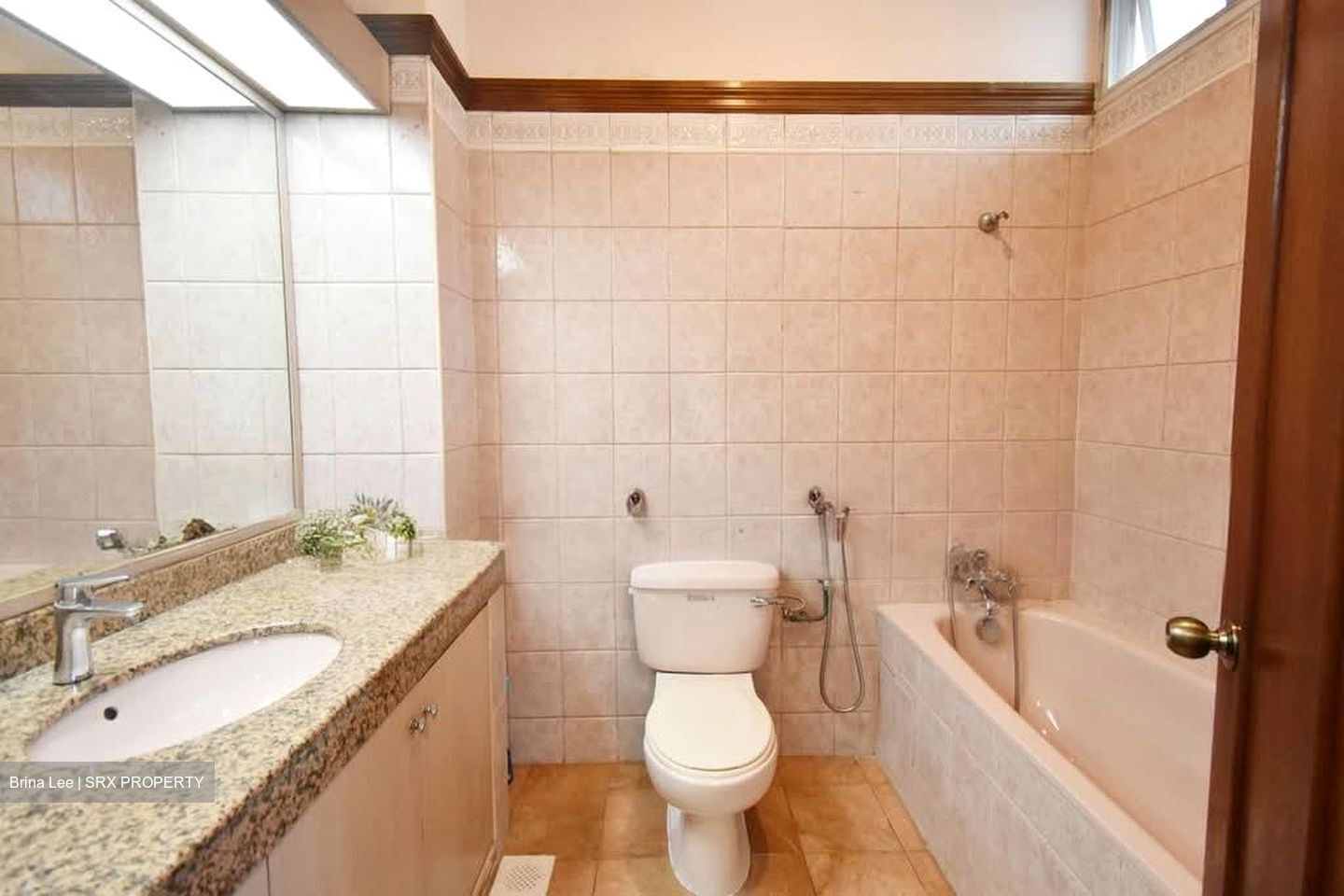 Henry Park (D10), Detached #549588851